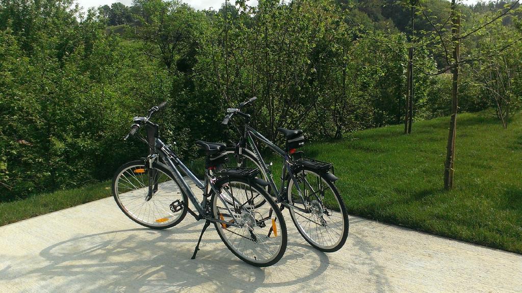 Ortenia Apartments In Nature Podčetrtek Cameră foto